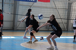 23242311 (3).jpg